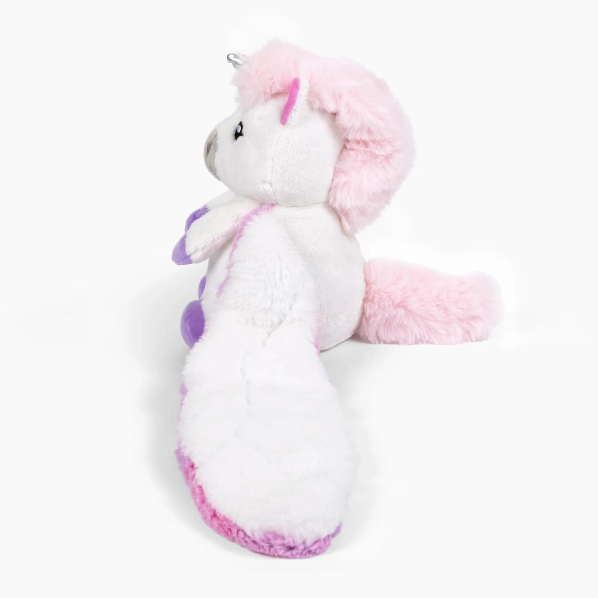Echo the Unicorn