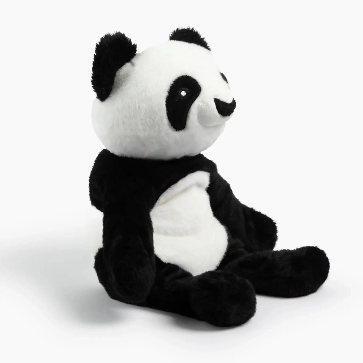Bowie the Panda