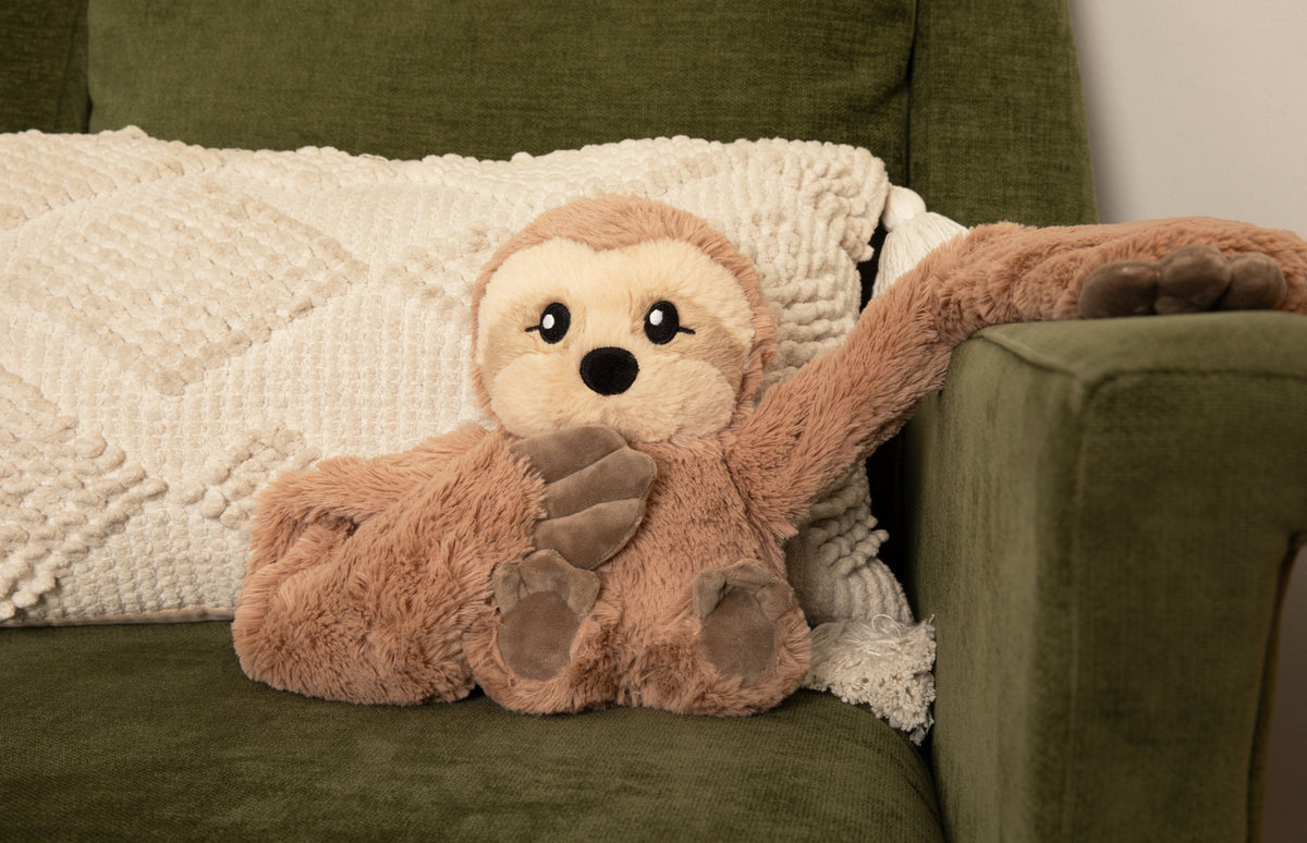 Sawyer the Sloth