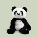 Bowie the Panda