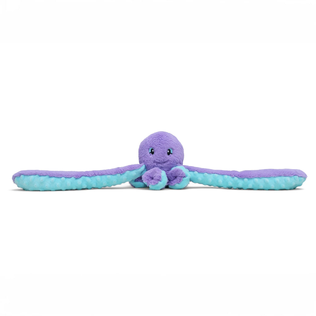 Indigo the Octopus
