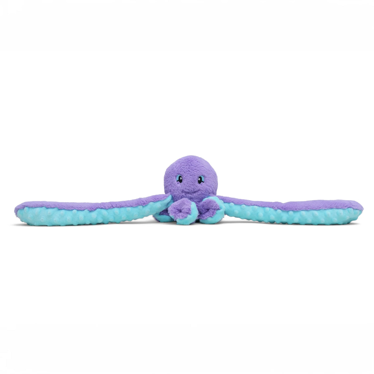 Indigo the Octopus