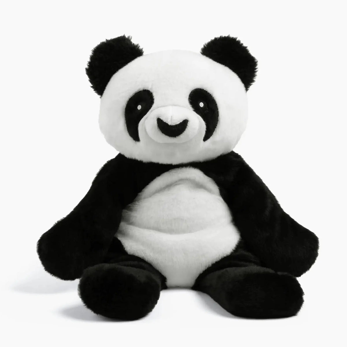 Bowie the Panda