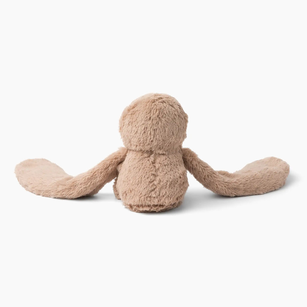 Sawyer the Sloth