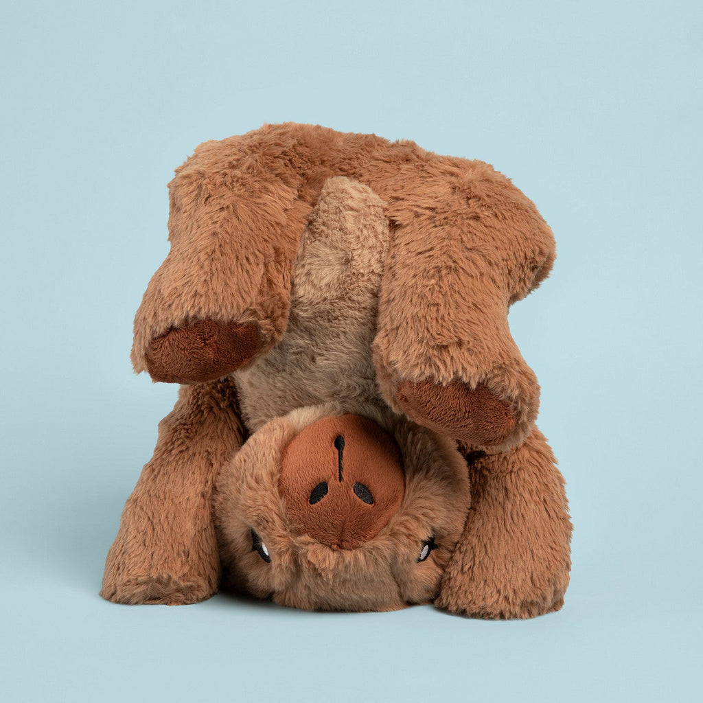 Cam the Capybara