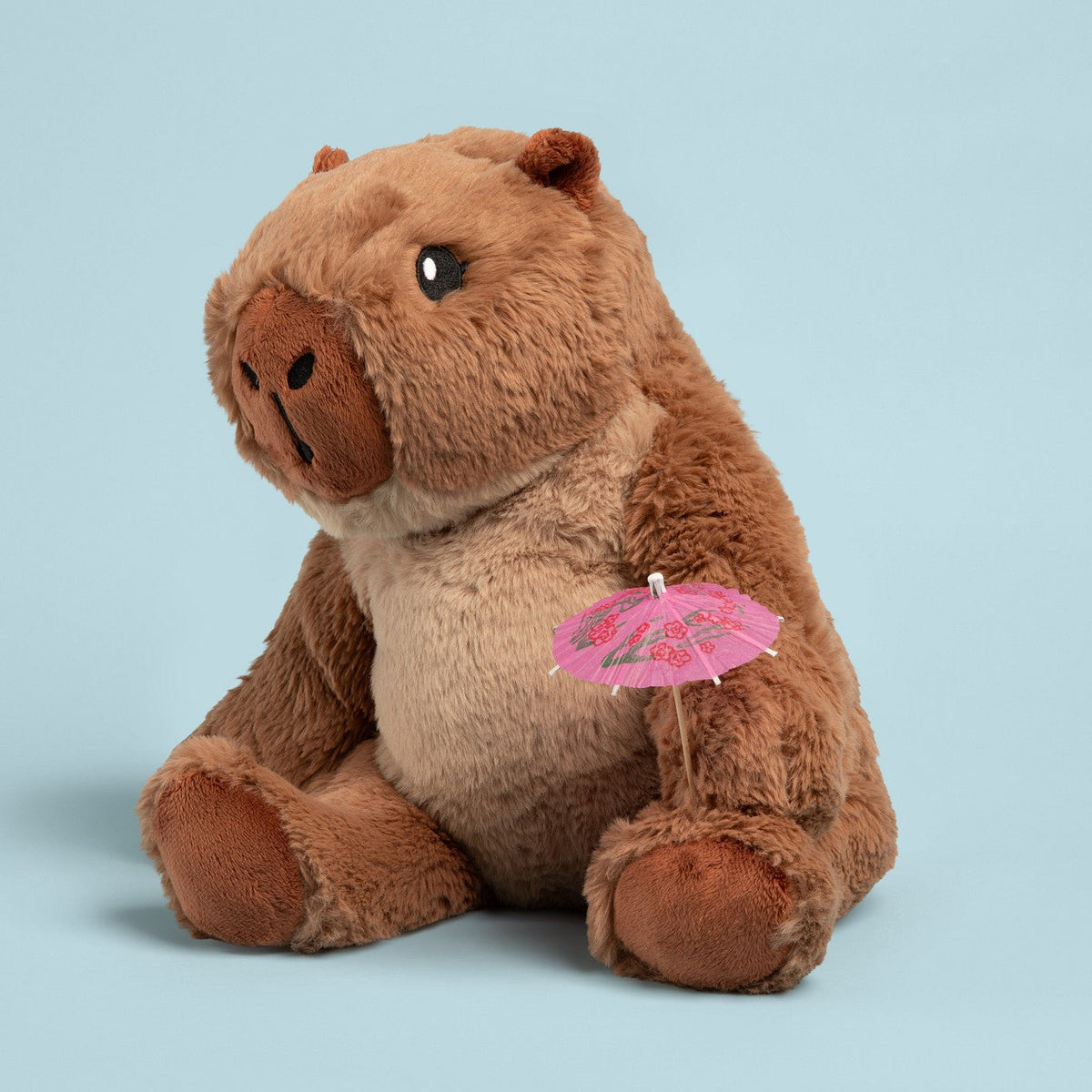 Cam the Capybara