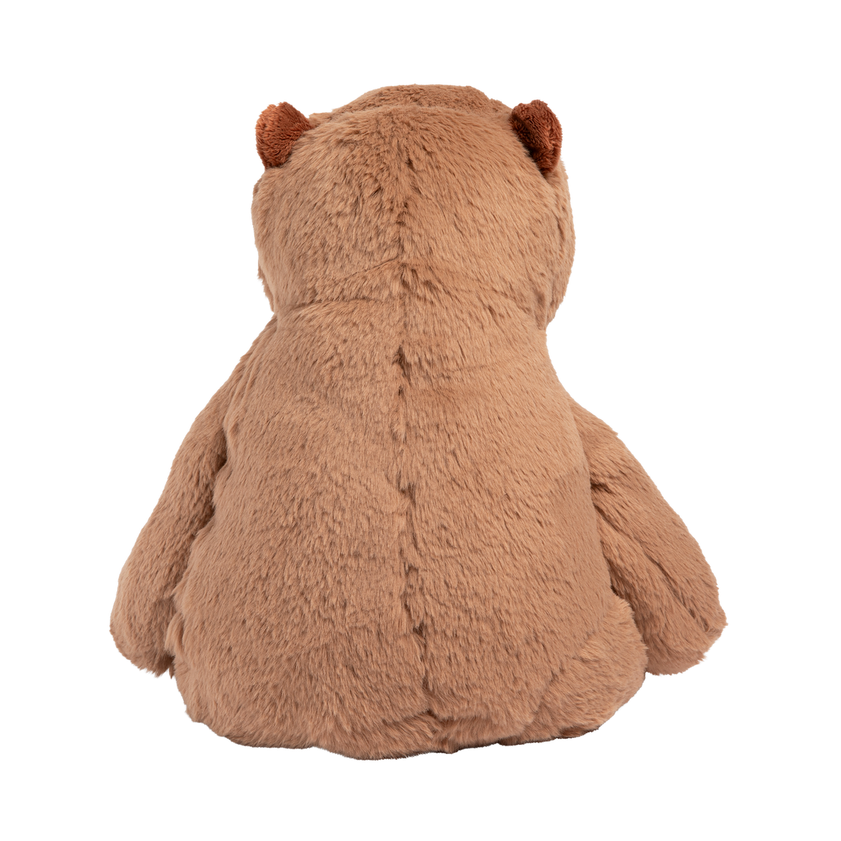 Cam the Capybara