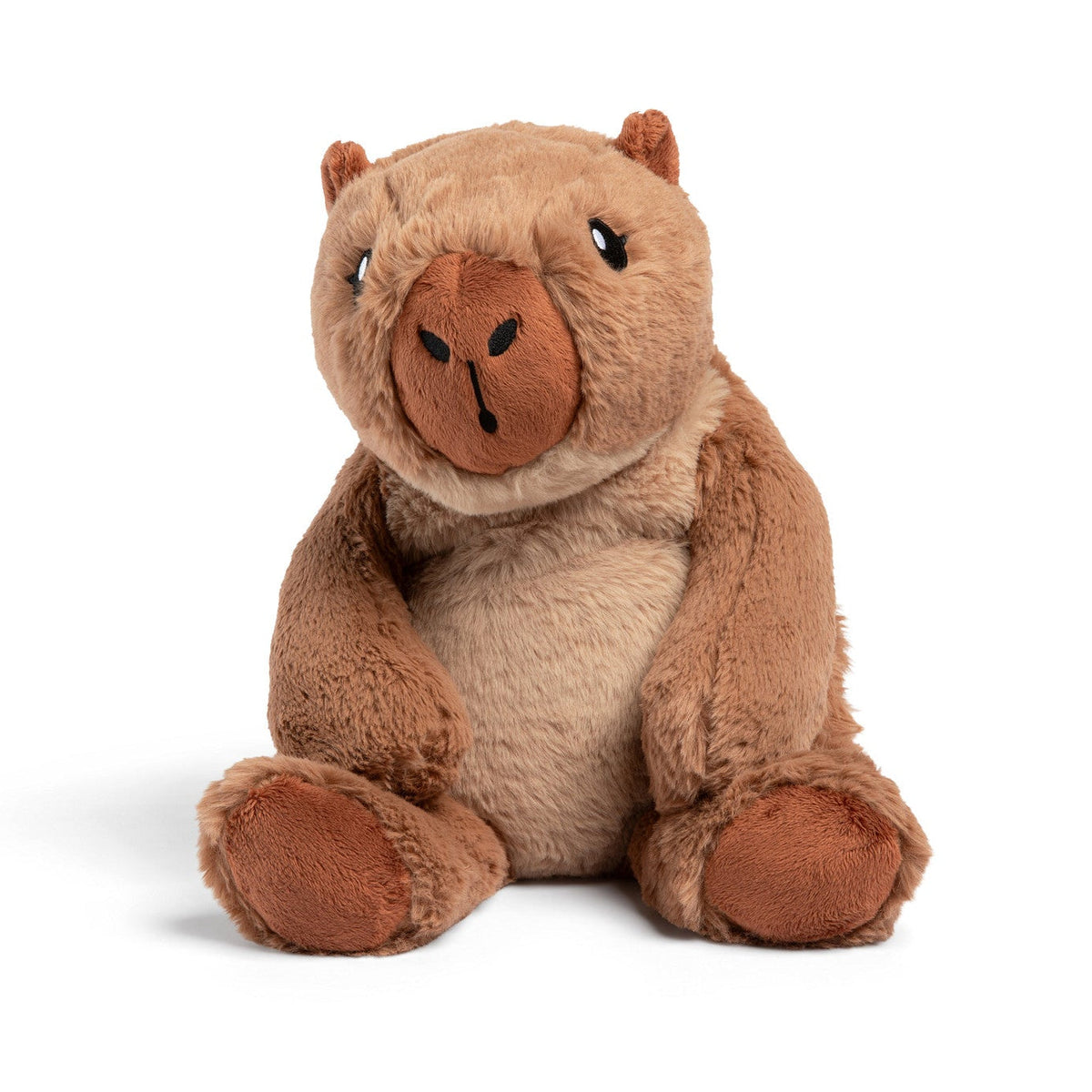 Cam the Capybara