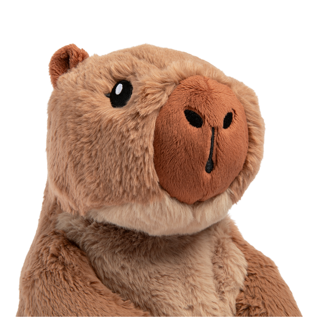 Cam the Capybara