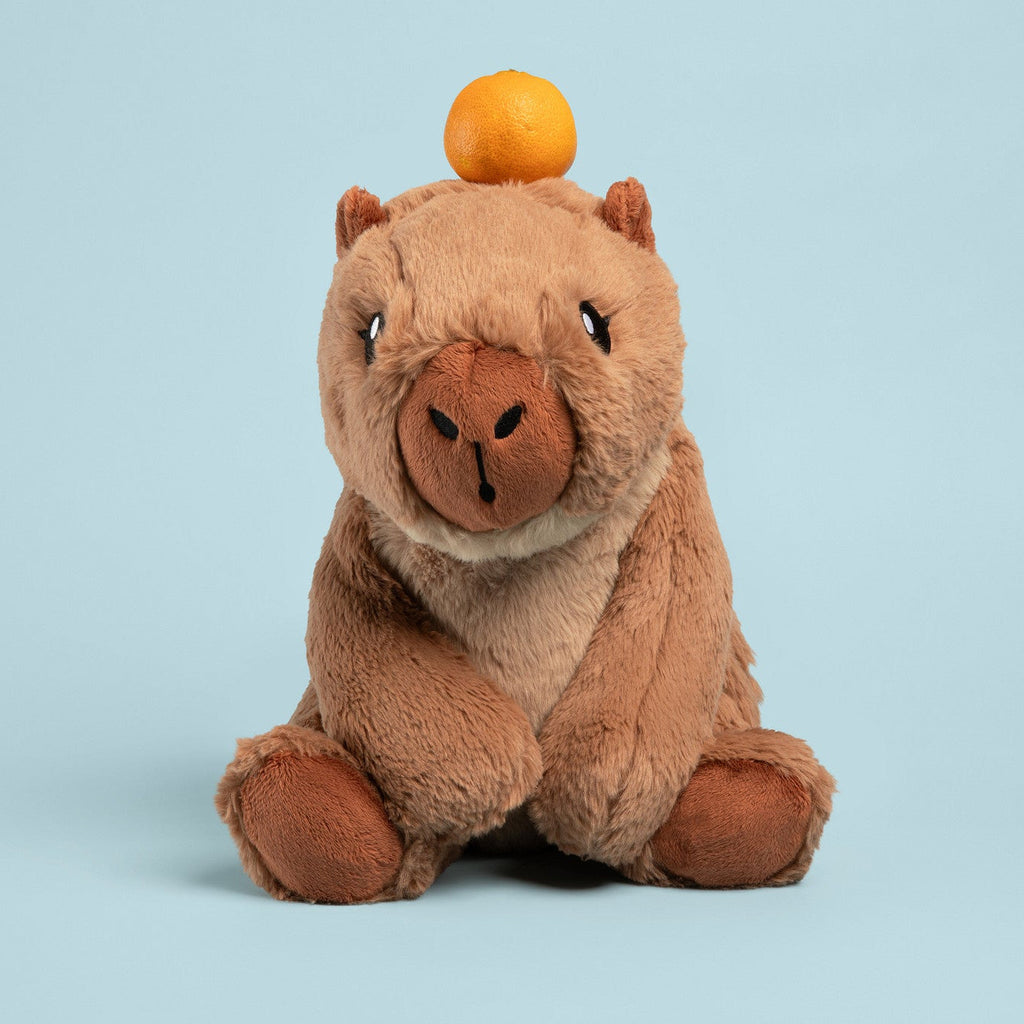 Cam the Capybara
