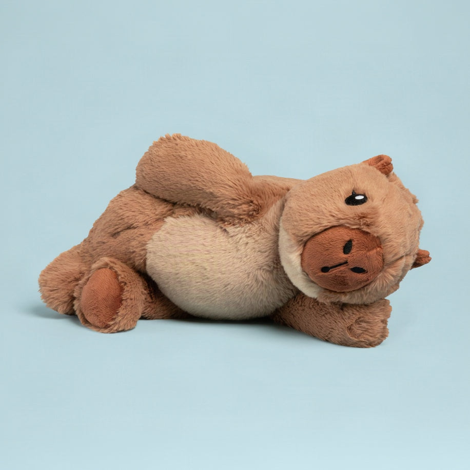 Cam the Capybara
