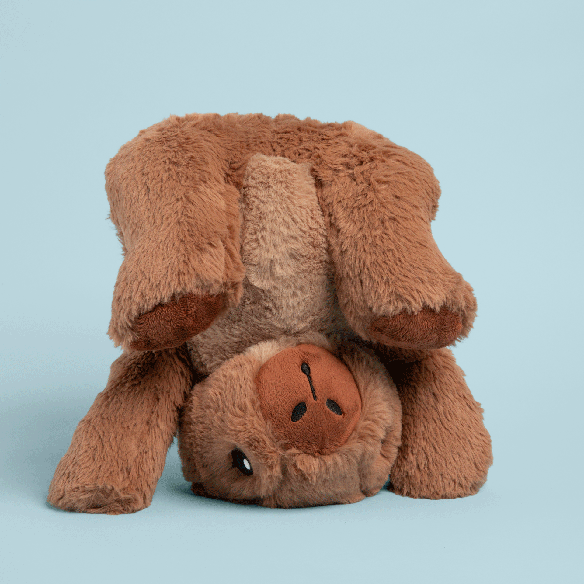 Cam the Capybara
